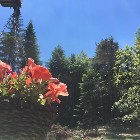 Apartamento Chalet Le Serre Long Saint-Sauveur-Camprieu